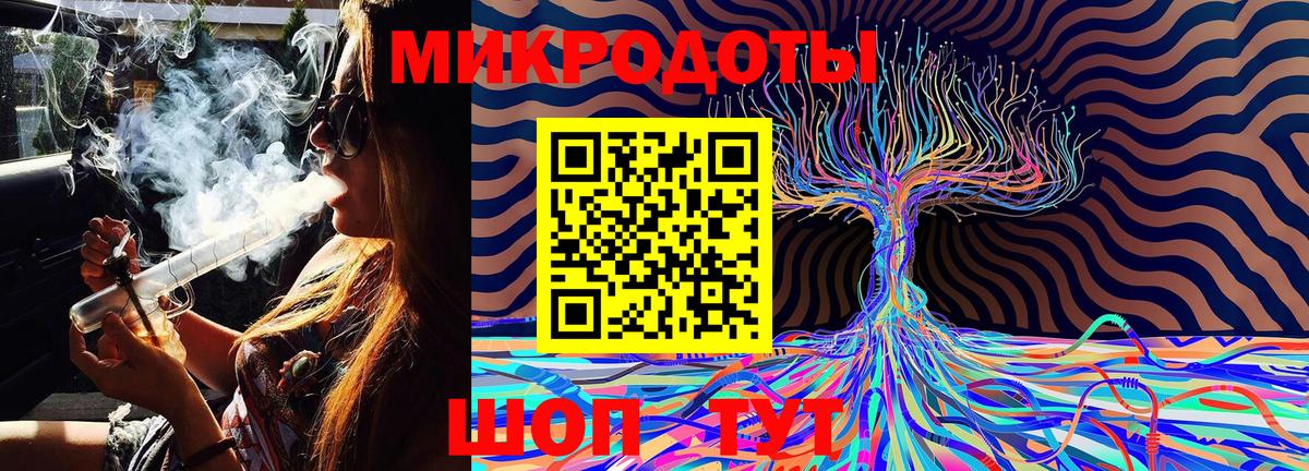 Галлюциногенные грибы прущие грибы  Вход с VPN  Елабуга 